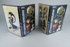 Panzer Dragoon Saga Sega Saturn OVP mit Anleitung Acrylcase