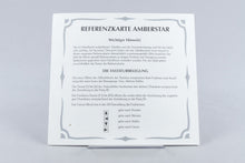 Commodore Amiga *Amberstar* in OVP mit Anleitung Map Poster Big Box #2