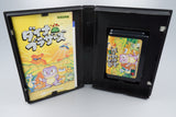 Sega Mega Drive *Dyna Brothers* OVP mit Anleitung Reg Card NTSC-J