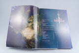 Brady Games *The Last Remnant - Signature Series Guide* Xbox 360