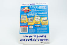 Nintendo Game Boy *The Flinstones* USA Vidpro Werbe-Displaykarte
