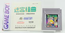Nintendo Game Boy *Milon's Secret Castle* OVP CiB DMG-111 CHN
