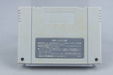 Super Fire Pro Wrestling Super Famicom SFC CIB OVP mit Anleitung NTSC-J