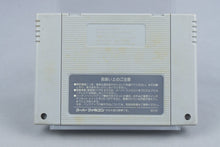 Super Fire Pro Wrestling Super Famicom SFC CIB OVP mit Anleitung NTSC-J