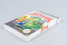 Nintendo NES *Astyanax* OVP CIB PAL B YX-NOE +