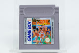 Nintendo Game Boy *Hyperdunk* OVP CiB Anleitung Acrylcase DW-NOE