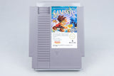 Nintendo NES *Little Samson* OVP CIB PAL B LT-NOE +