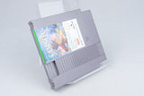Nintendo NES *Little Samson* OVP CIB PAL B LT-NOE +