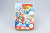 Nintendo NES *Solomon's Key 2* OVP CIB PAL B K2-FRG +