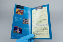 Eliminate Down Sega Mega Drive OVP mit Anleitung NTSC-J Acrylcase