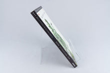 *Metal Gear Solid 3 - Das offizielle Buch* PS2