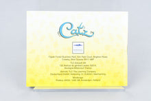 Catz Game Boy Color GBC OVP Anleitung AZCP-EUR