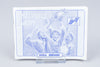 Sega Master System *Champions of Europe* OVP mit Anleitung