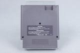 Nintendo NES *Astyanax* OVP CIB PAL B YX-NOE +