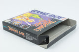 Nintendo Game Boy *Dragon's Lair: The Legend* OVP CiB Anleitung Poster DL-USA