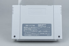 Elfaria Super Famicom OVP CIB NTSC-J