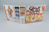 Giant Gram All Japan Pro Wrestling 2 Sega Dreamcast OVP CIB NTSC-J