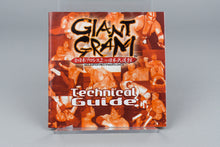 Giant Gram All Japan Pro Wrestling 2 Sega Dreamcast OVP CIB NTSC-J