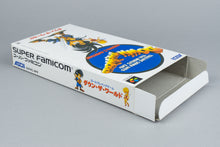 Down the World: Mervil's Ambition Super Famicom OVP CIB Reg Card NTSC-J