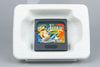 Legend of Illusion Starring Mickey Mouse Sega Game Gear OVP CIB
